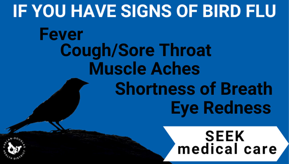 Bird Flu