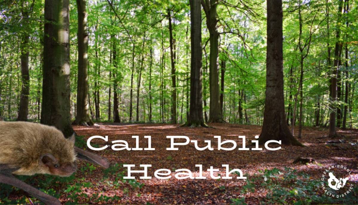 Call Public Health