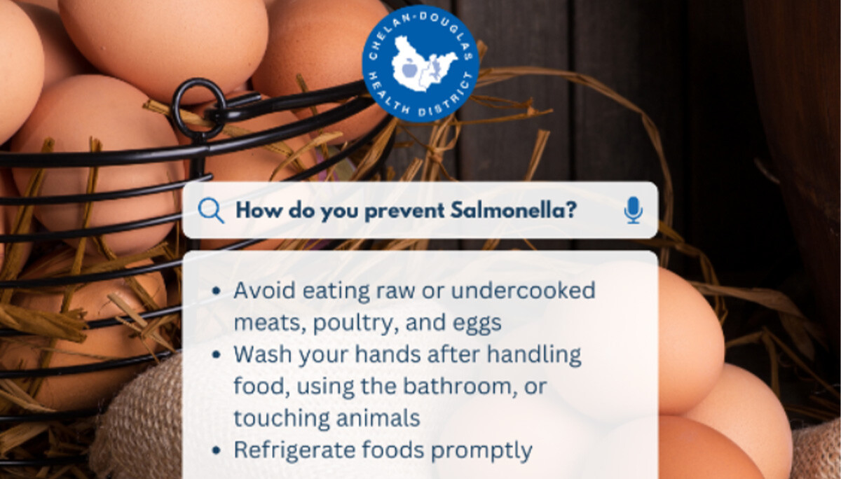 Salmonella