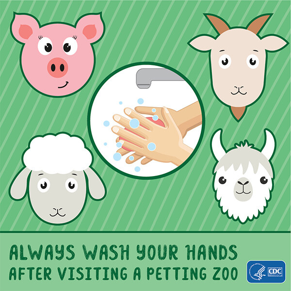 Wash your hands