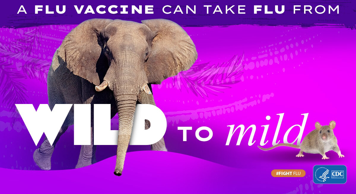 Wild to mild